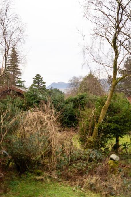 Cozy Norwegian Style Log Cabin In Rural Snowdonia - 2 Bedrooms & Parking By Seren Short Stays Ffestiniog Bagian luar foto